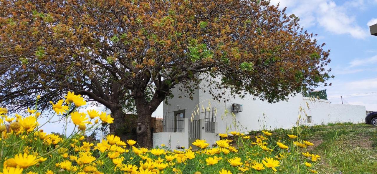 Traditional Suburbs Maisonette Kos Exterior photo